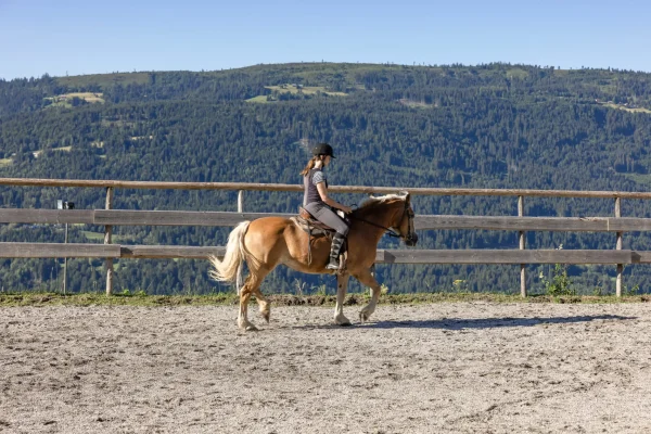 Ederhof-Juli-22-109-scaled