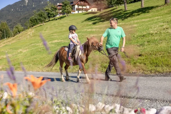 Ederhof-Juli-22-28-scaled