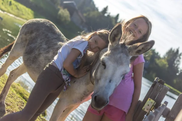 Hotel Ederhof - Bauernhof - 03