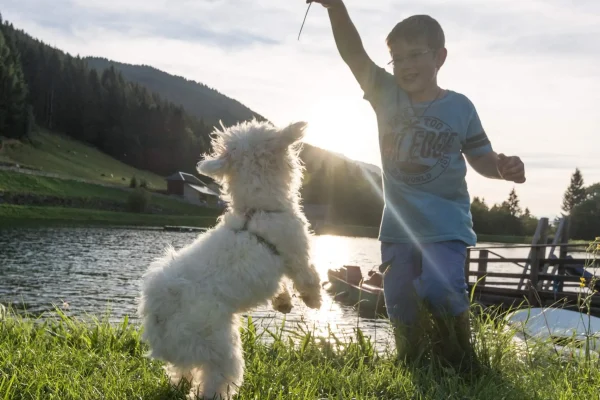 Hotel Ederhof - Bauernhof - 06