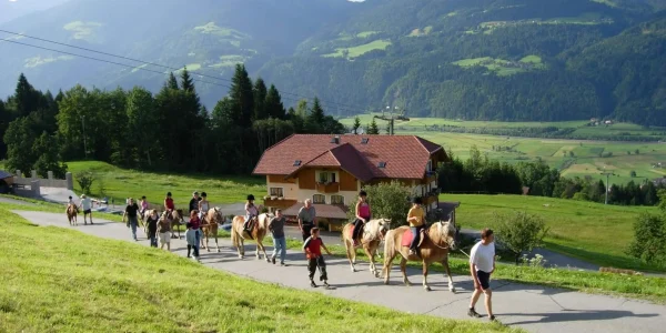 Hotel Ederhof - Reiten - 04