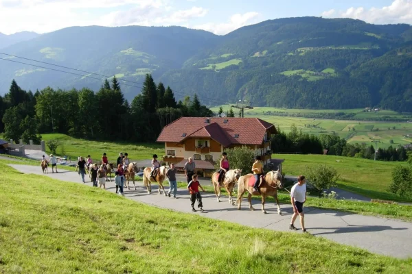 Hotel Ederhof - Reiten - 04