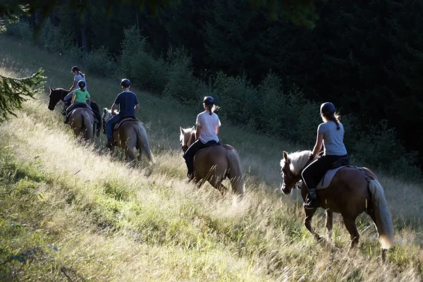 Hotel Ederhof - Reiten - 05