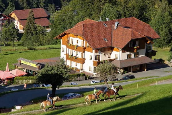Hotel Ederhof - Reiten - 06