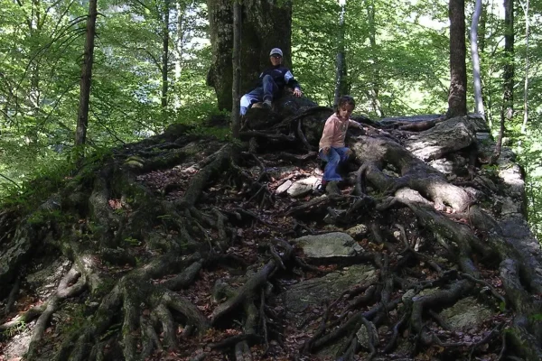 Hotel Ederhof - Wandern - 02